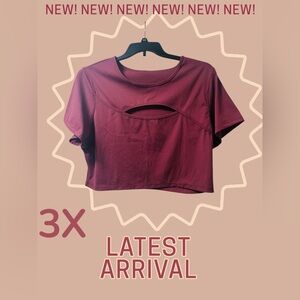 HALARA Maroon Cut-Out Crop Top 3x